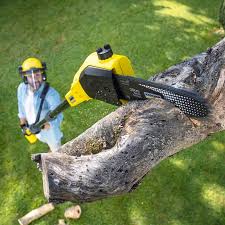 Best Seasonal Cleanup (Spring/Fall)  in Hartford, AL