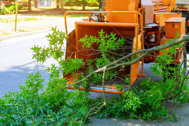  Hartford, AL Tree Services Pros