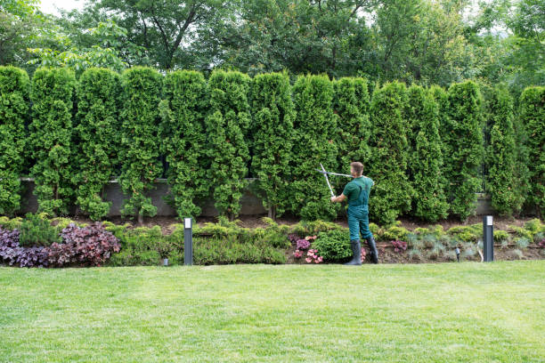 Best Lawn Maintenance Plans  in Hartford, AL