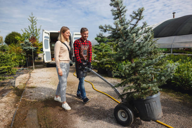 Best Firewood Processing and Delivery  in Hartford, AL